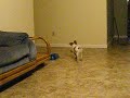 Oliver