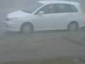 Wild-Storm-November-
