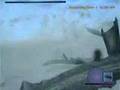 EXTREME colossi stunts!