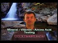 Mineral - Vitamins - Amino Acid Testing