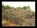 qenqo