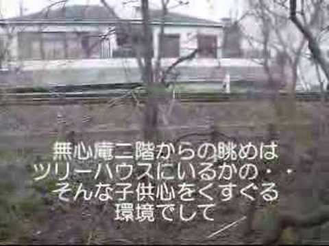 西成おもろすぎ・・・