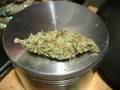Legalize it