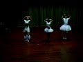 Ballerinas!!! Ballerinas!!!