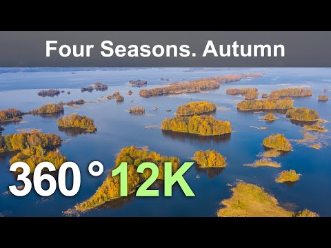 Four Seasons. Autumn Forest. Relax Flight in 360 format, 12K resolution - YouTube