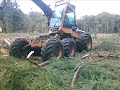 Forestry in norg.