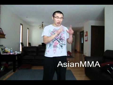 Mir Vs Cro Cop Video