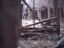 Invitation to Survival Games