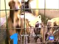 Comando actualidad - \ Comando actualidad - \