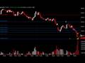 Daily Market Update, Noviembre 20, 2008