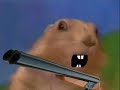 Prairie Dog Boomstick
