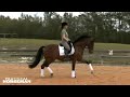 Ride the Trot Lengthening with Kate Poulin-Neff