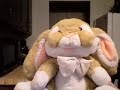 You Suck At The Internet! You Suck At The Internet!