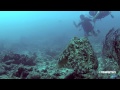 Click here to watch this video Lauryn & Justin @ Lobster Wall