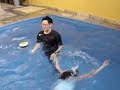 Casal sendo jogado na piscina =D