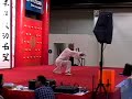 tang wei zhong performing a freestle, yang tai chi demo.