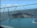 Incredible: Shark jumped on board of ship!