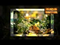 Oru Mruduswaram Njan Kettu - Malayalam