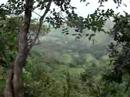 25 acres farm for sale near Nicoya 25 acres farm for sale near Nicoya