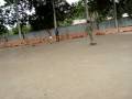 sk8