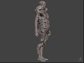 Prawn soldier WIP