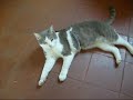 nos b�b�s