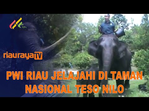PWI RIAU JELAJAHI CAMP ELEPHANT FLAYING SQUAD DI TAMAN NASIONAL TESSO NILO | BERITA RIAURAYA