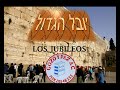 Yovel Hagadol, Los jubileos / Gozo y Paz / Parte 6