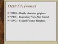 Tactile Maps Automated Production (TMAP)