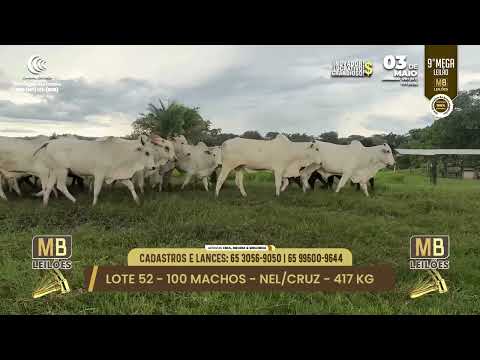 9� MEGA LEIL�O DA MB LEIL�ES