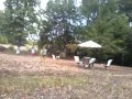 Murphy playin ball