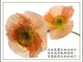 我喜歡一部 @YouTube 影片 http://t.co/ZBVNps95 阿姜查的禪修世界