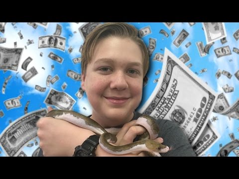YouTube reptile video