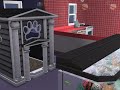 The Sims 2 Pets - my cat3
