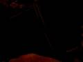 videos de Nemo and nala playing3.AVI