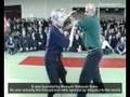 Bujinkan - art of a ninja warrior