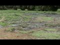 Water salinity