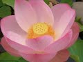 Nhân Quả 3 Đời  3/4 (Rất Hay)