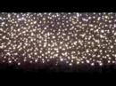 Psychedelic freakout sparkles Psychedelic freakout sparkles