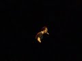 Ben Fold live - Not the Same