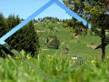 Horon Kemence Trabzon Karadeniz Pontos Lyra
