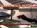 paying homage to the 9th wonder  sample he did for murs and my bro cdk spit over, let me know what u think...just for fun i didnt even keep it when i was done.
www.myspace.com/topoftheglobe 
topoftheglobe@hotmail.com
www.rocbattle.com/top of the globe
get at me for beats!