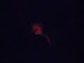 Dan Andriano LIVE