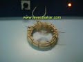 motor with 2 coils 2