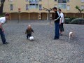 Arthur joue au foot avec les grands