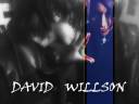 el brujo david willson-mago ilusionista