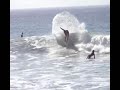 dalhe brita surfmovie