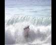 dalhe brita surfmovie