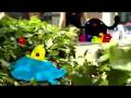 videos de prakash music short version
