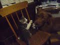 Ophelia and Brandy